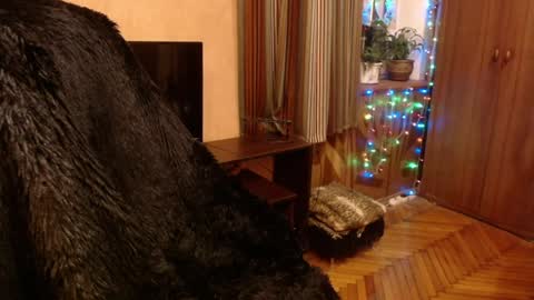 miss Tress online show from December 28, 2024, 9:19 pm