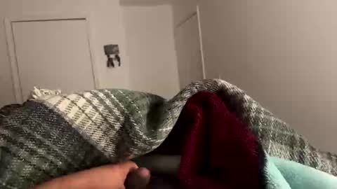 se le perdio algo perra hp online show from January 13, 2026, 7:24 am