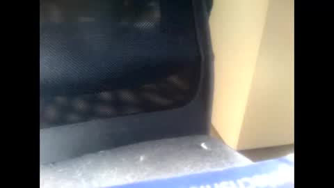 nostradamuslu online show from November 10, 2025, 8:24 am