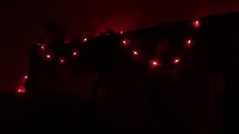 NOVA online show from October 19, 2025, 2:45 am