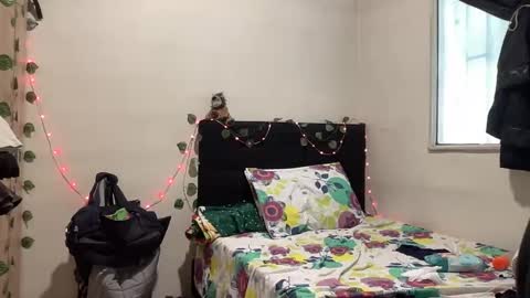 NOVA online show from October 19, 2025, 3:34 pm