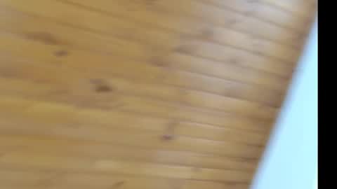 novaperotti online show from March 12, 2025, 6:44 pm