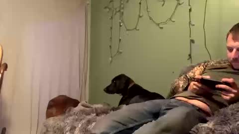 nsy57528 online show from October 19, 2025, 12:00 am