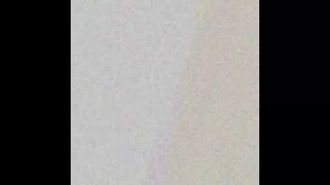 nycsupplier online show from February 21, 2026, 1:12 pm