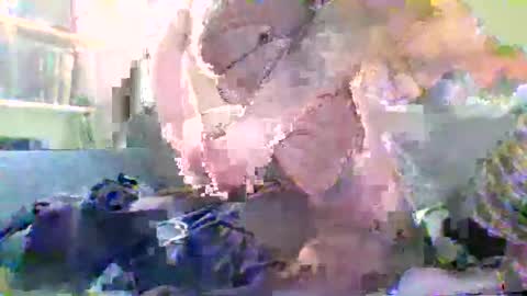 NYlonloversFFM online show from January 17, 2026, 7:17 pm