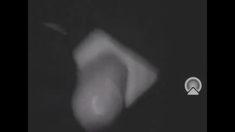 nympham online show from April 8, 2026, 5:07 am