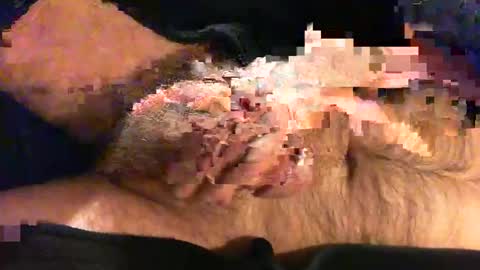 o269x2 online show from November 9, 2025, 10:46 am