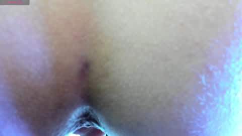 Snapshot of oasis_ossa chatting on December 14, 2024, 6:56 am Lyam online show from December 14, 2024, 6:56 am