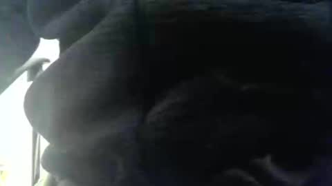 obahiro823844 online show from December 17, 2025, 12:55 pm