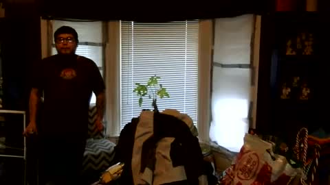 oscar flores online show from March 1, 2026, 1:02 pm