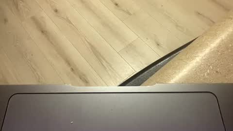 Snapshot of ofthatguy chatting on October 24, 2025, 2:30 am ofthatguy online show from October 24, 2025, 2:30 am