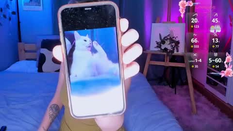 Light  online show from December 22, 2024, 7:54 am