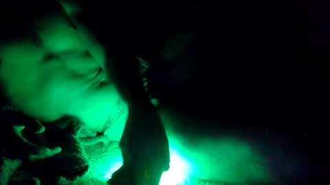 Snapshot of oibrev49 chatting on March 21, 2026, 9:03 am oibrev49 online show from March 21, 2026, 9:03 am