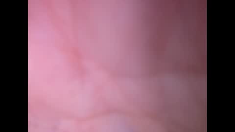 oldaddy2 online show from February 23, 2026, 12:46 pm