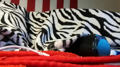 Laura online show from September 18, 2025, 6:04 am