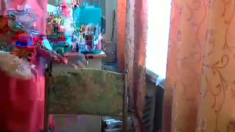 Snapshot of olivia_mia25 chatting on April 24, 2026, 8:50 am Olivia Mia online show from April 24, 2026, 8:50 am