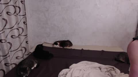Snapshot of olivia_redd chatting on May 15, 2026, 8:49 pm Olivia online show from May 15, 2026, 8:49 pm