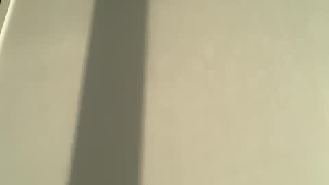 Olivia Brookes online show from January 8, 2026, 8:00 pm