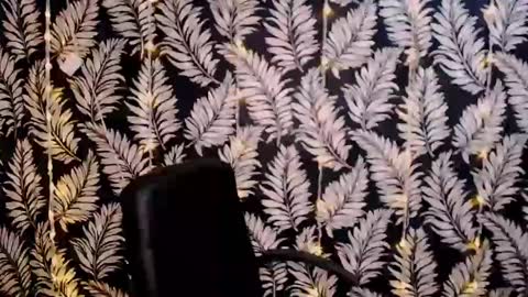 Snapshot of oliviaoskar_ chatting on January 6, 2025, 12:13 pm Kelly online show from January 6, 2025, 12:13 pm