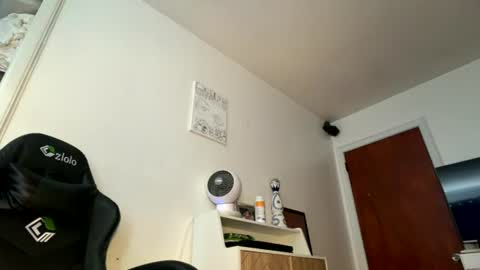 Snapshot of onedayonedollar chatting on August 1, 2026, 2:49 pm onedayonedollar online show from August 1, 2026, 2:49 pm