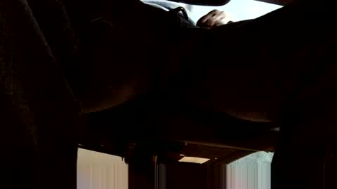 oneeyesnake1843142 online show from October 19, 2025, 6:25 am