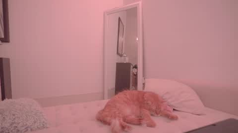 Ariel online show from October 18, 2025, 9:26 pm