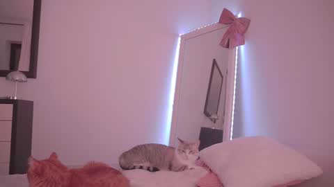 Ariel online show from February 17, 2026, 10:27 pm