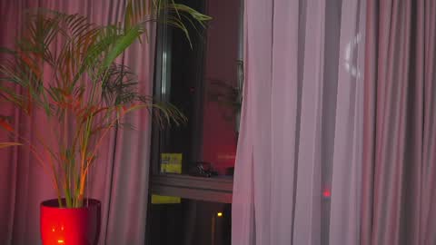 Nicolle online show from January 30, 2025, 1:11 am