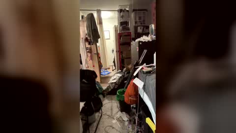 TsJojo online show from February 6, 2026, 11:24 am