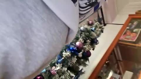 orlandovilla48 online show from December 5, 2025, 12:36 pm