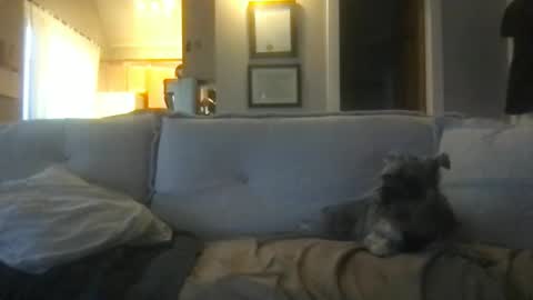 Snapshot of ossignol_xxx chatting on February 27, 2025, 1:16 am rossignol online show from February 27, 2025, 1:16 am