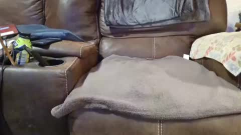 outdoorsmanmark71 online show from December 19, 2024, 2:12 am