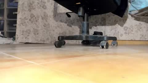 Pablo Meness online show from December 17, 2025, 6:36 pm