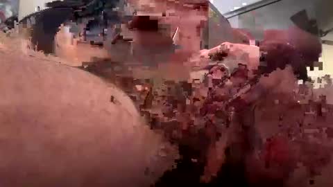 Rothkohammer online show from February 10, 2025, 1:33 pm