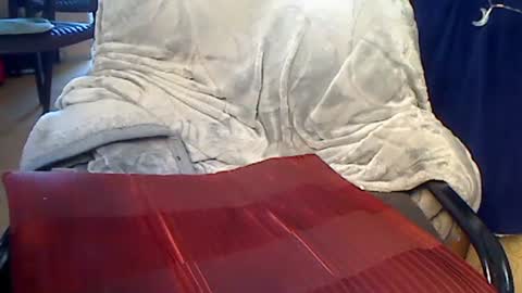 pajacamxxxs online show from March 8, 2025, 11:27 am