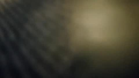 pals199301 online show from November 23, 2025, 11:37 pm