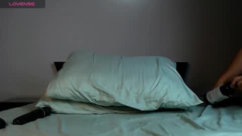 Snapshot of pam_gomez chatting on December 11, 2024, 2:09 am pam gomez online show from December 11, 2024, 2:09 am