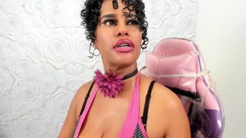 PAMELA online show from January 14, 2025, 8:15 pm