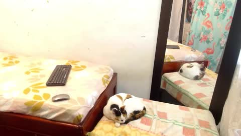 diana online show from September 13, 2025, 5:24 pm