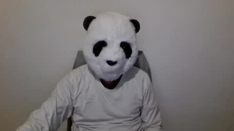 Panda online show from December 6, 2024, 7:01 pm