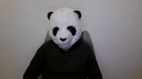 Panda online show from December 7, 2024, 7:10 pm