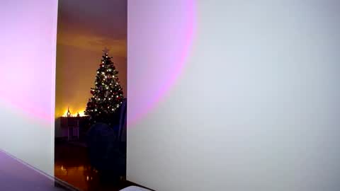 pandora__1 online show from November 5, 2025, 2:11 am