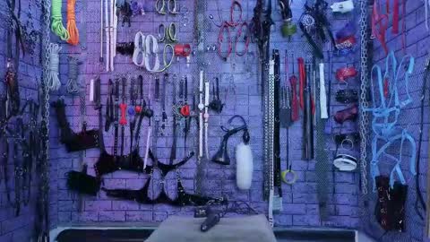 PandoraNez online show from October 4, 2025, 2:59 pm