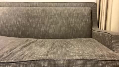 Oleg online show from February 11, 2025, 2:57 am