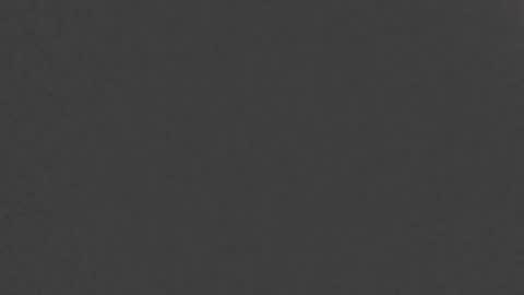 papilos25 online show from January 22, 2025, 1:21 pm