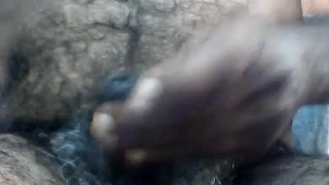 Snapshot of pappi_rambo chatting on August 7, 2026, 7:10 am pappi_rambo online show from August 7, 2026, 7:10 am
