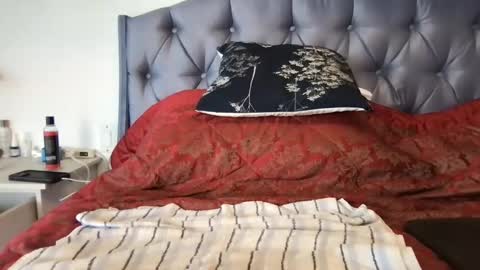 Paradise Bird01 online show from January 17, 2025, 7:49 pm