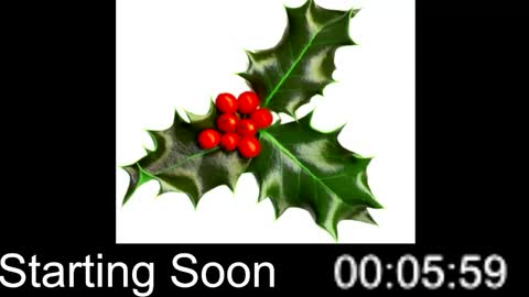 Passion4Fashion online show from December 25, 2024, 9:00 pm