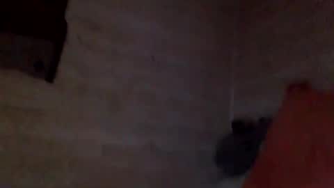 Pati24 online show from February 26, 2026, 10:25 am