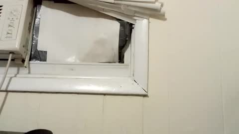 Snapshot of pato0008 chatting on December 18, 2024, 2:32 am JD online show from December 18, 2024, 2:32 am